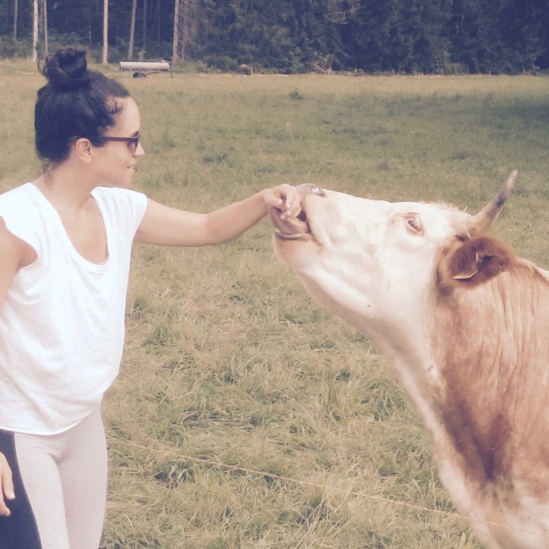 cow appreciation day.jpg